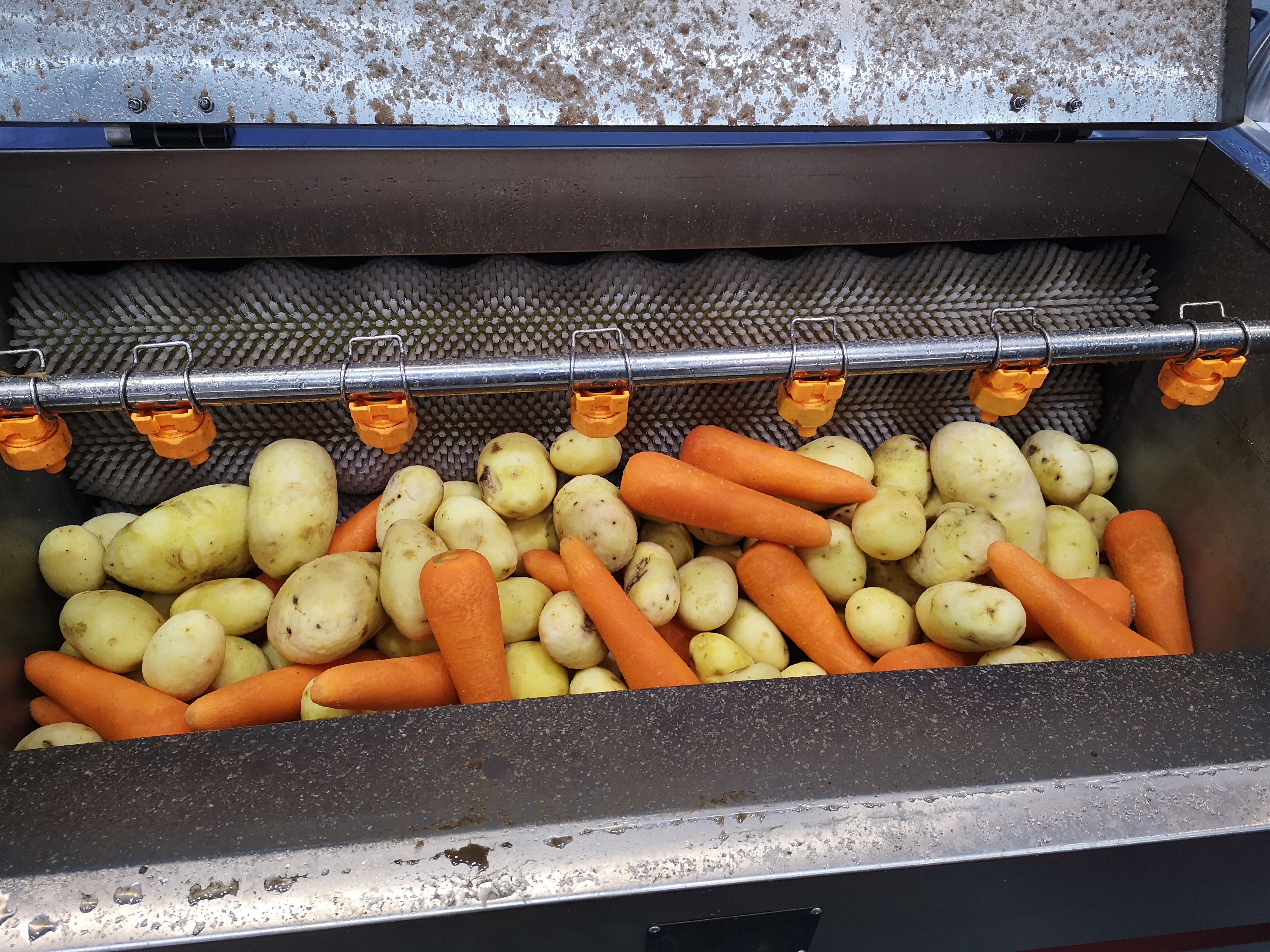 Brush Peeler