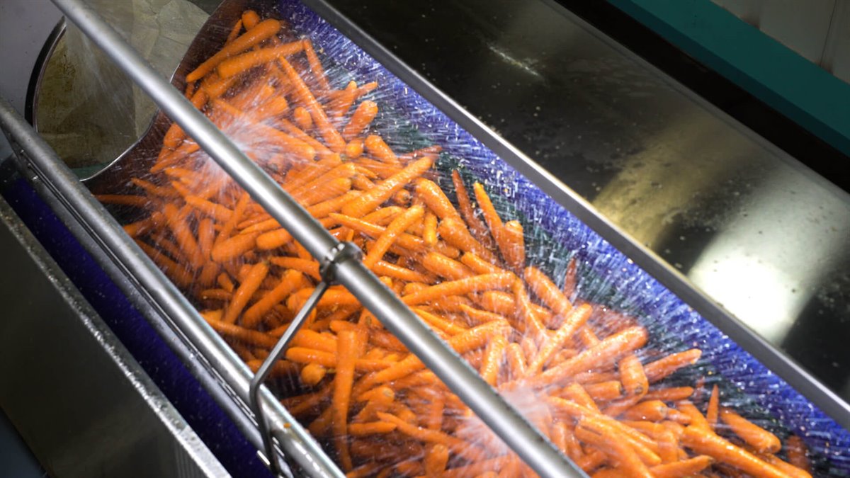 Potato Carrot Peeler