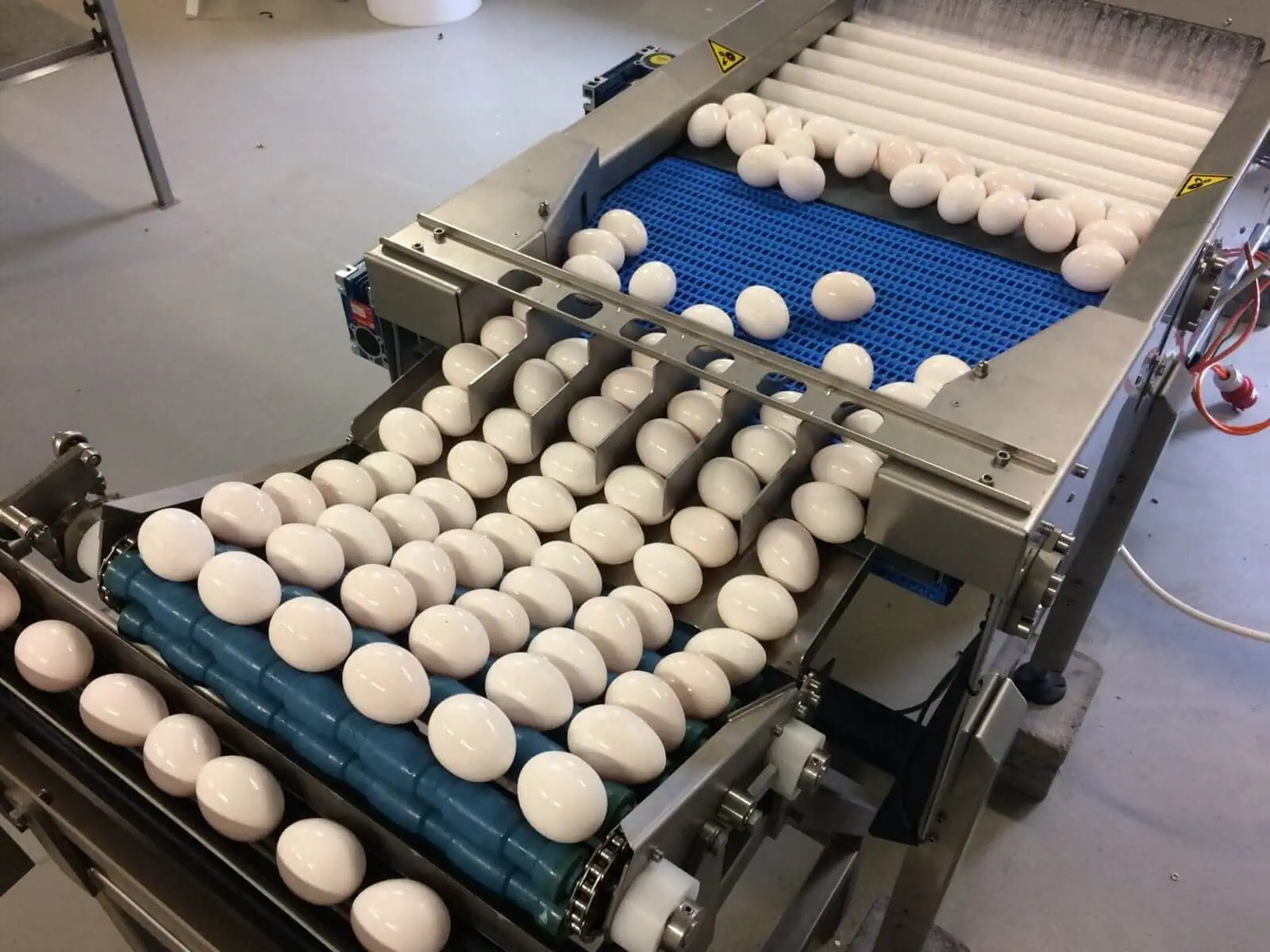 Egg Washing Plant